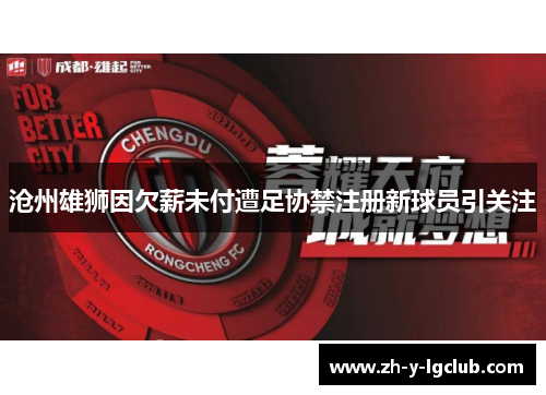 沧州雄狮因欠薪未付遭足协禁注册新球员引关注